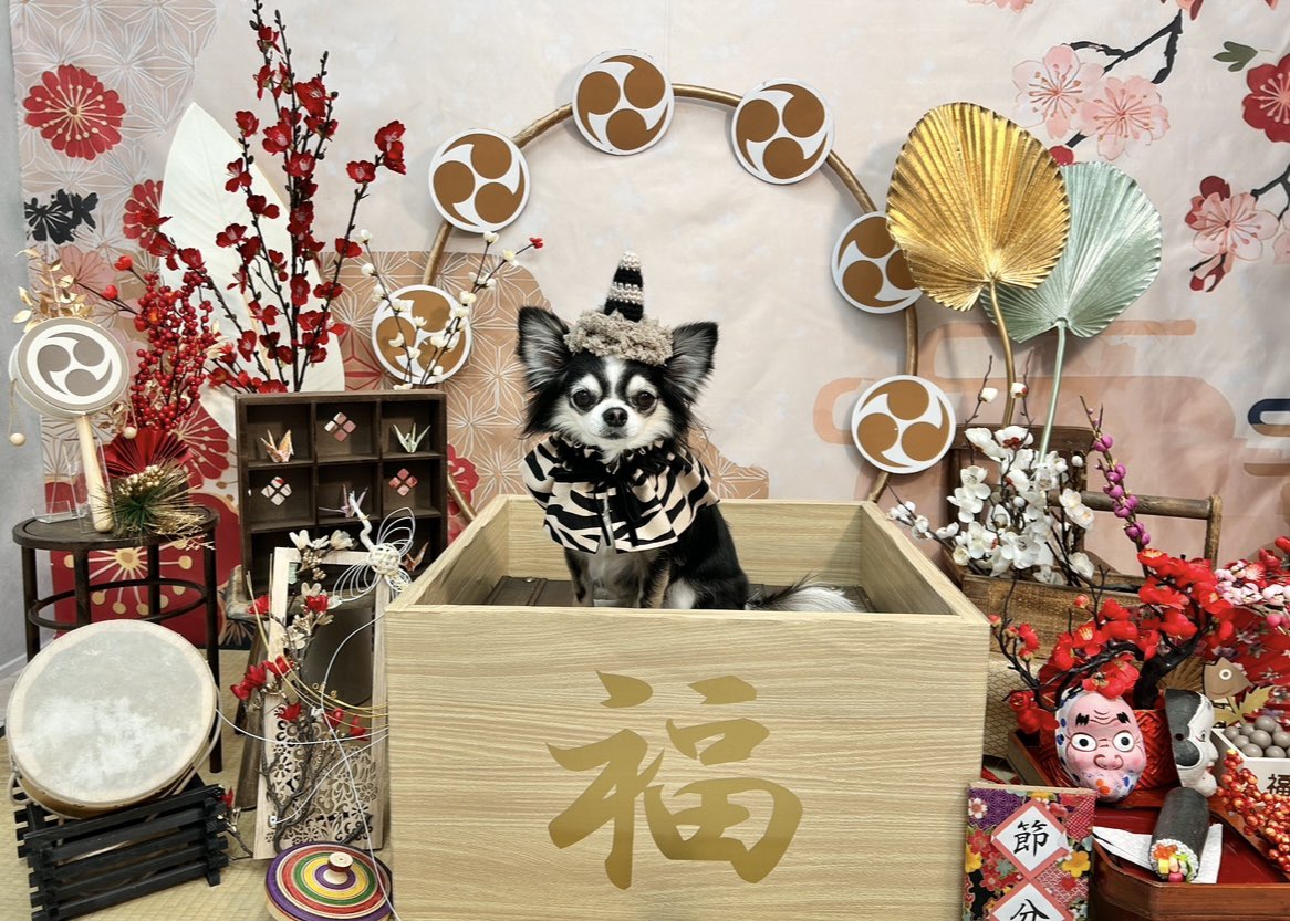 can_dailys's tweet photo. 節分👹🫘 https://t.co/eb7B27Qr19