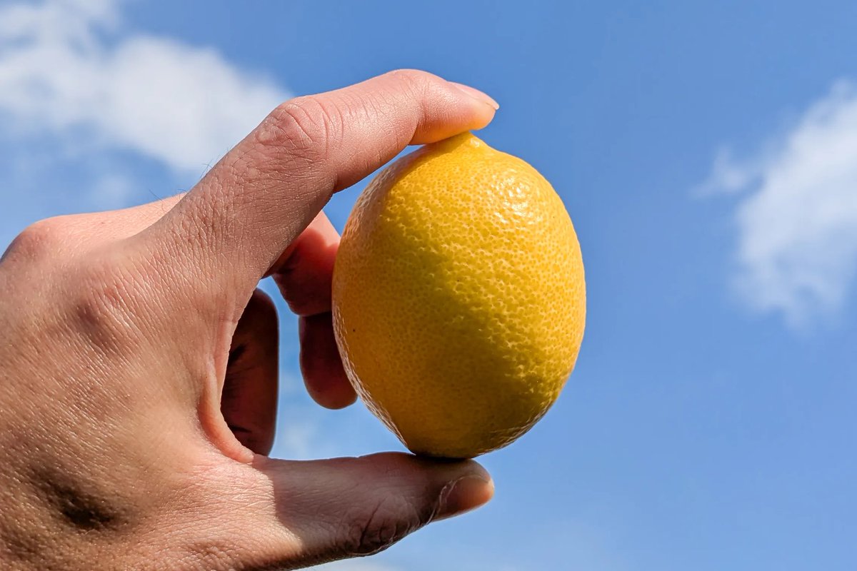 gingermasao's tweet photo. 【クズレモンサワー🍋】

Nontitle Season５で出会った３人。

半年間以上かけて準備を進めてきたプロジェクトがいよいよ完結します。

“５つの発表”をお見逃しなく！

詳細はリプライから。 https://t.co/slmDQSXsE7