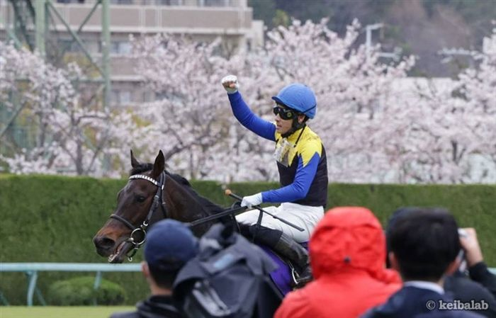 keibalab's tweet photo. 【本日のHAPPY BIRTHDAY】
本日2月4日は22年大阪杯を勝ったポタジェの誕生日！昨年種牡馬入り。どんな産駒を送り出すでしょうか。
※この時期は多くのサラブレッドの誕生日です。代表して取り上げております。今日が誕生日の皆さんおめでとうございます。
#ポタジェ #誕生日 
https://t.co/96Cz04qSNE https://t.co/V7LgV8TnHx