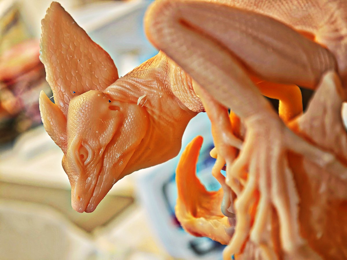 Arte Mix@WF3-17-04 tweet media