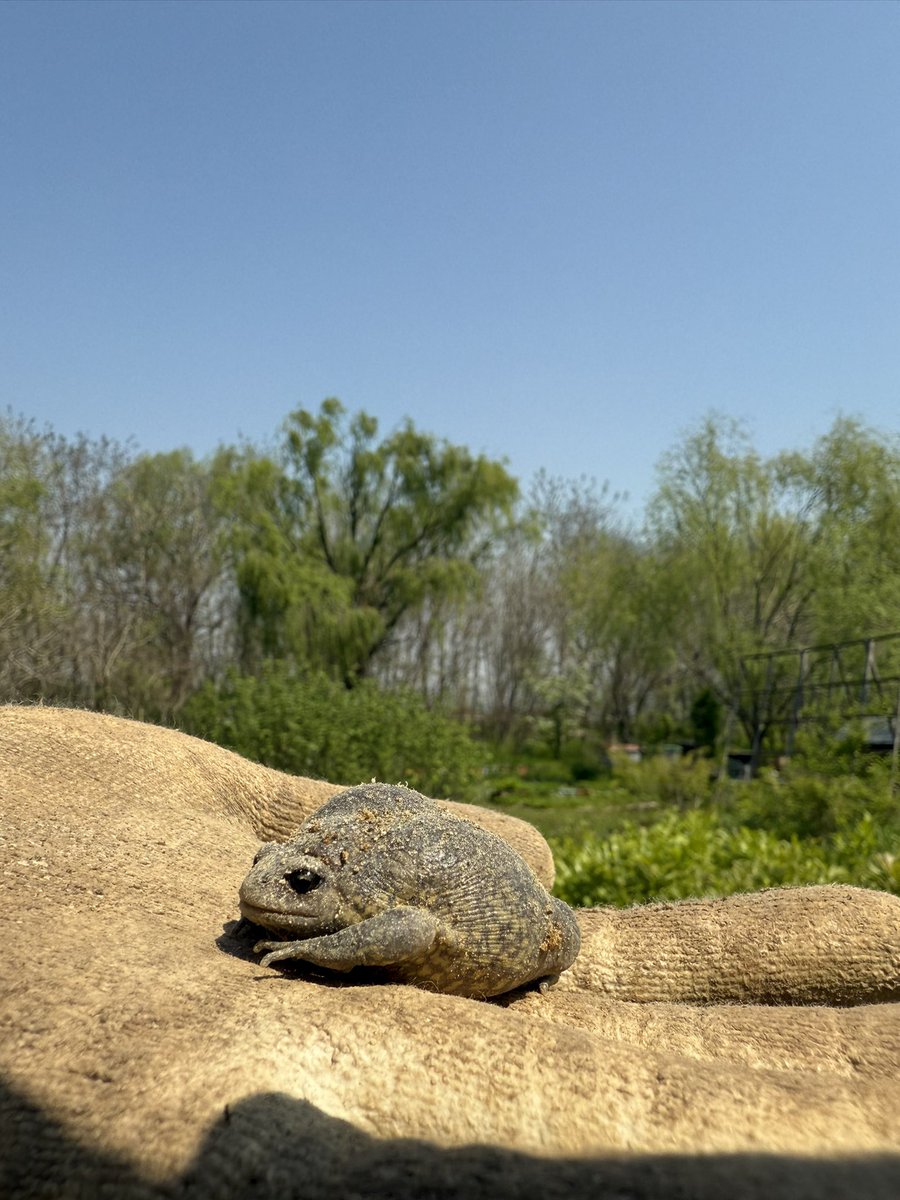 sulfatereducing's tweet image. 1. 나무를 심고 숲을 가꾸고 싶다
2. 기후 위기 시대, 연대를 원한다
3. 생태 조사에 관심이 있다
4. 서울시 마포구
= 노을공원시민모임의 ‘개미’가 되어보세요!

IG: @nogosimo
buly.kr/1n4Lulj