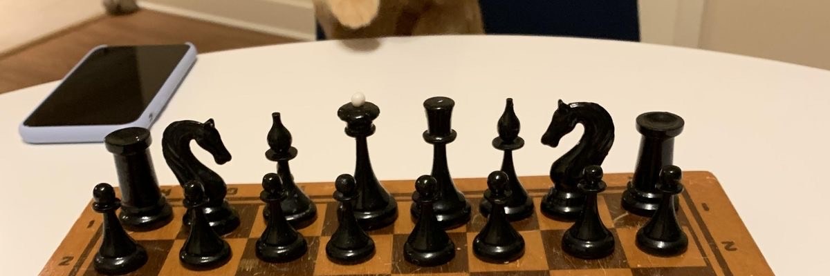 NoCatsNoLife_m's tweet photo. cat : one wrong move and i sweep the board