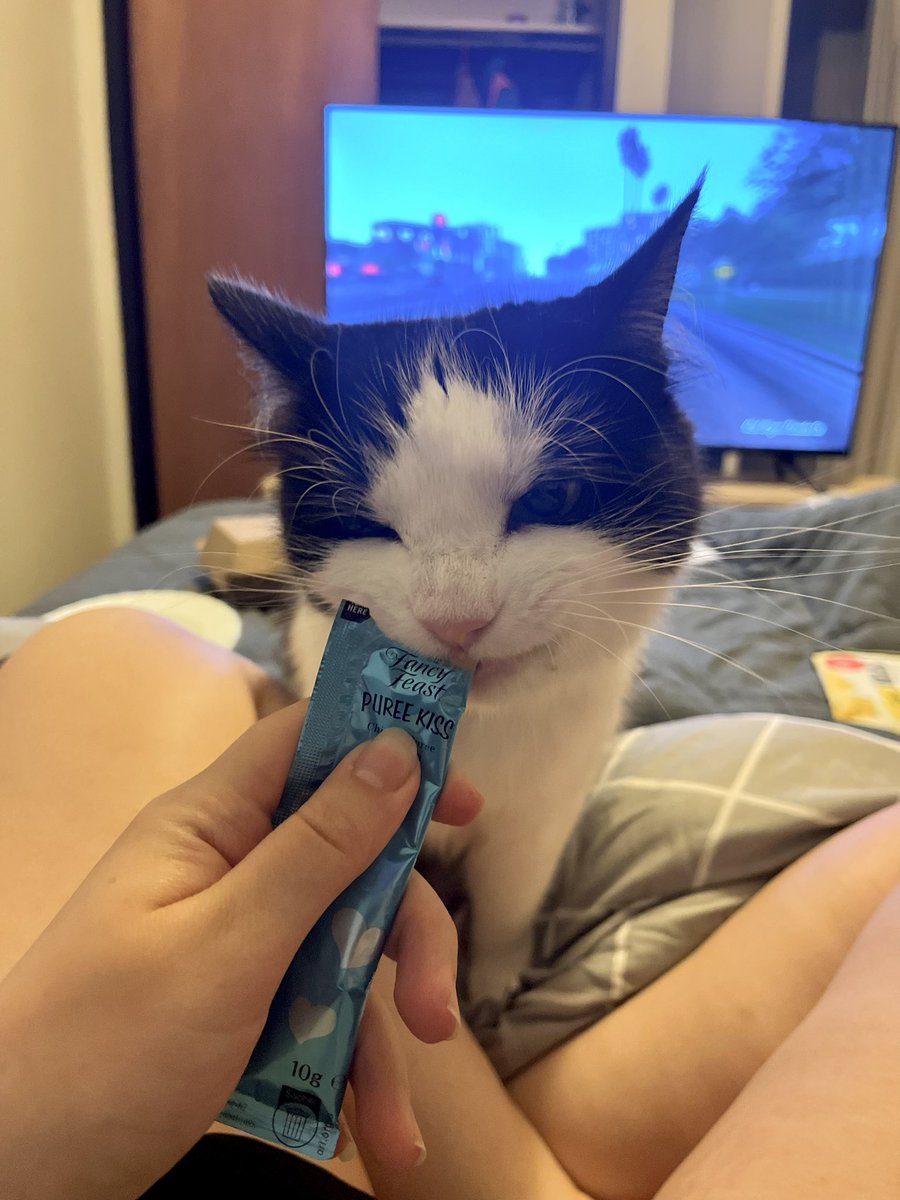 littlebugcat's tweet photo. eating the snack that makes u silly https://t.co/2wITTBlwit