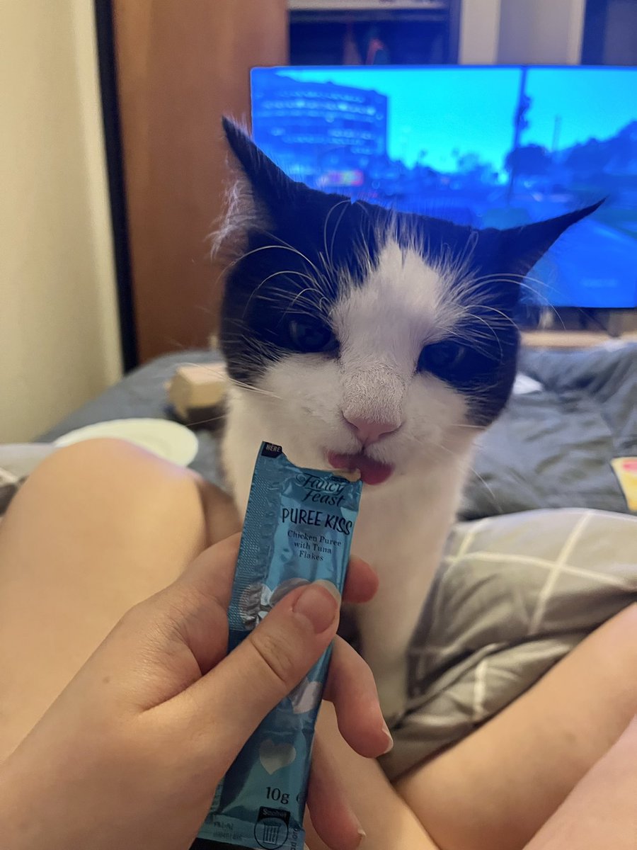 littlebugcat's tweet photo. eating the snack that makes u silly https://t.co/2wITTBlwit