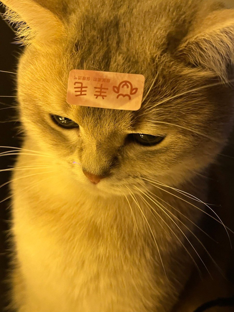 manjunathkhot4's tweet photo. 指🐱为🐑 https://t.co/I58TDQFLcl