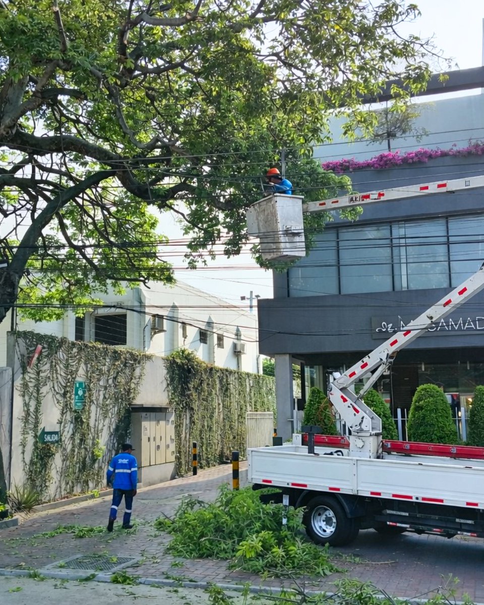 Parques EP tweet media