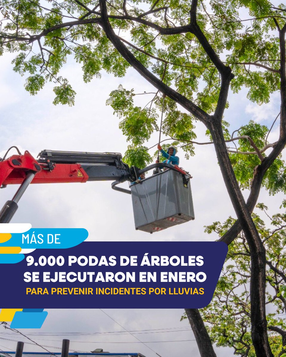 Parques EP tweet media