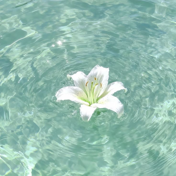 naturaholic's tweet image. calmness of blue