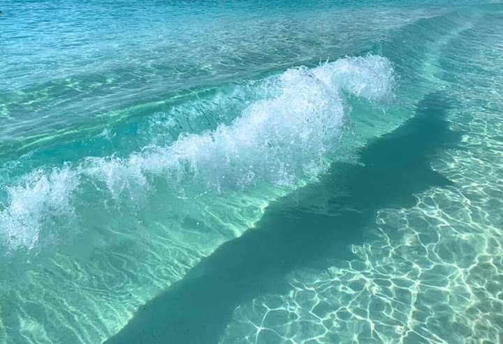 naturaholic's tweet image. calmness of blue