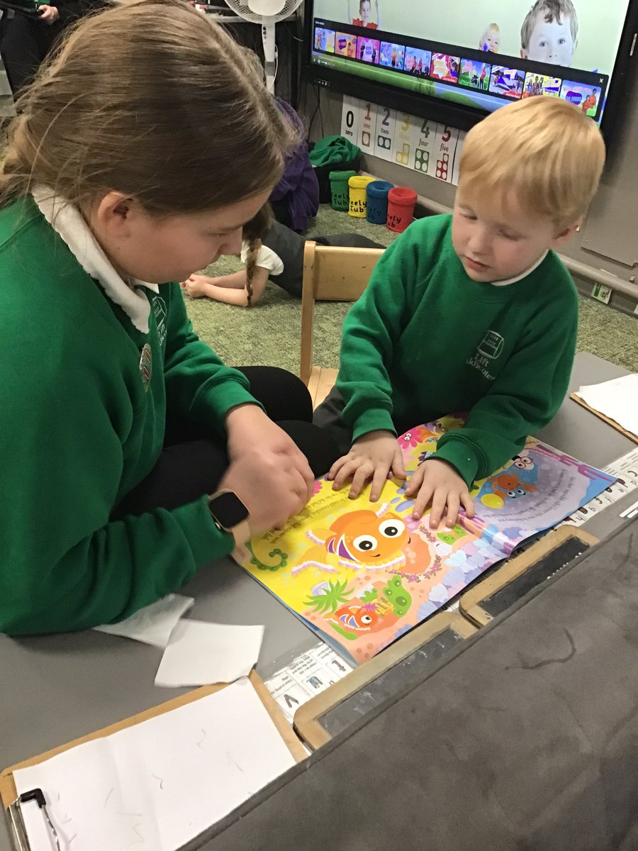 Caldi Y6 tweet media