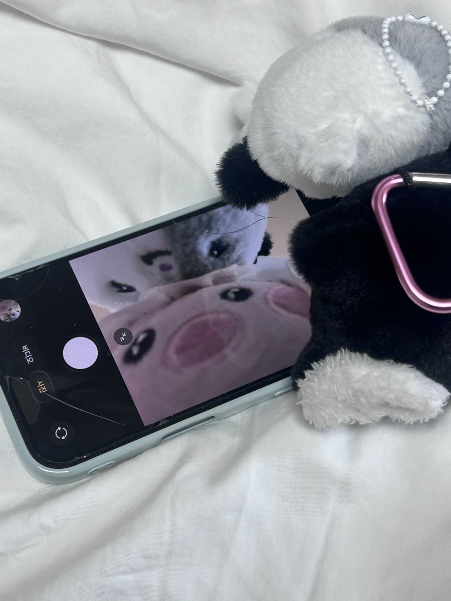 미아 tweet media
