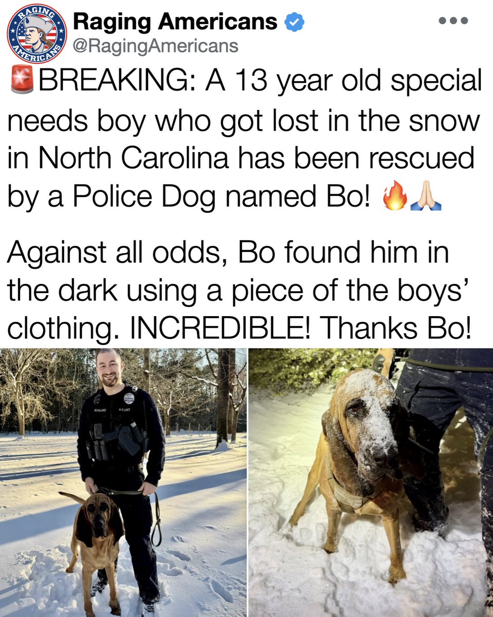 Raging Americans tweet media