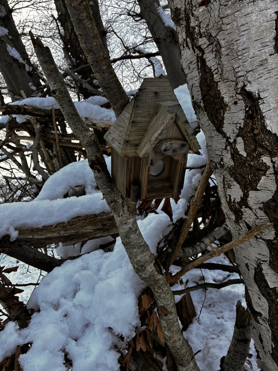 🎀 𝒩𝒶𝒹𝒾𝓃𝑒 🎀 tweet media