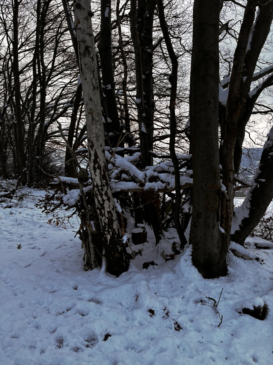 🎀 𝒩𝒶𝒹𝒾𝓃𝑒 🎀 tweet media