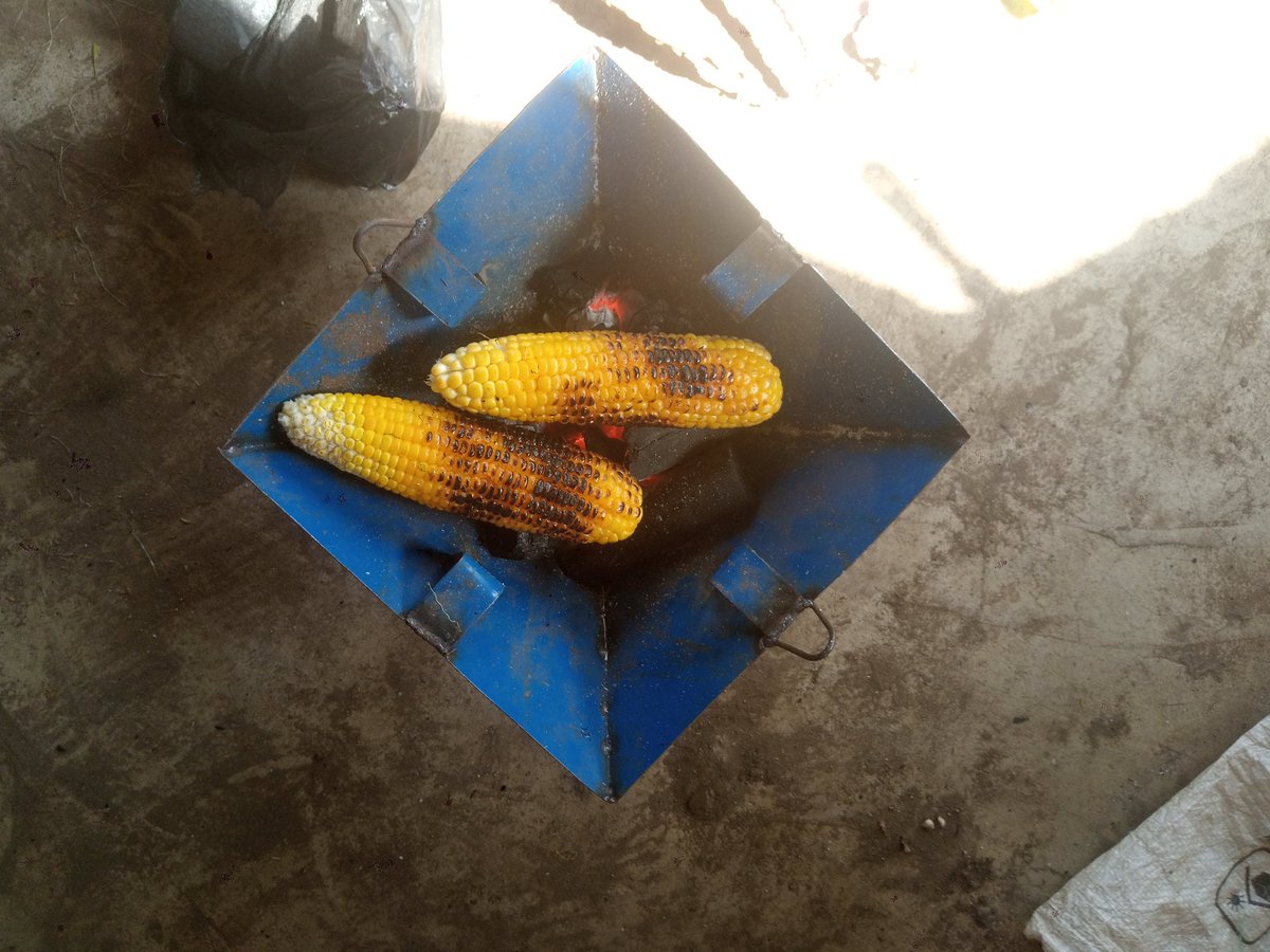 Farm With Gifty 🌽🌱 tweet media