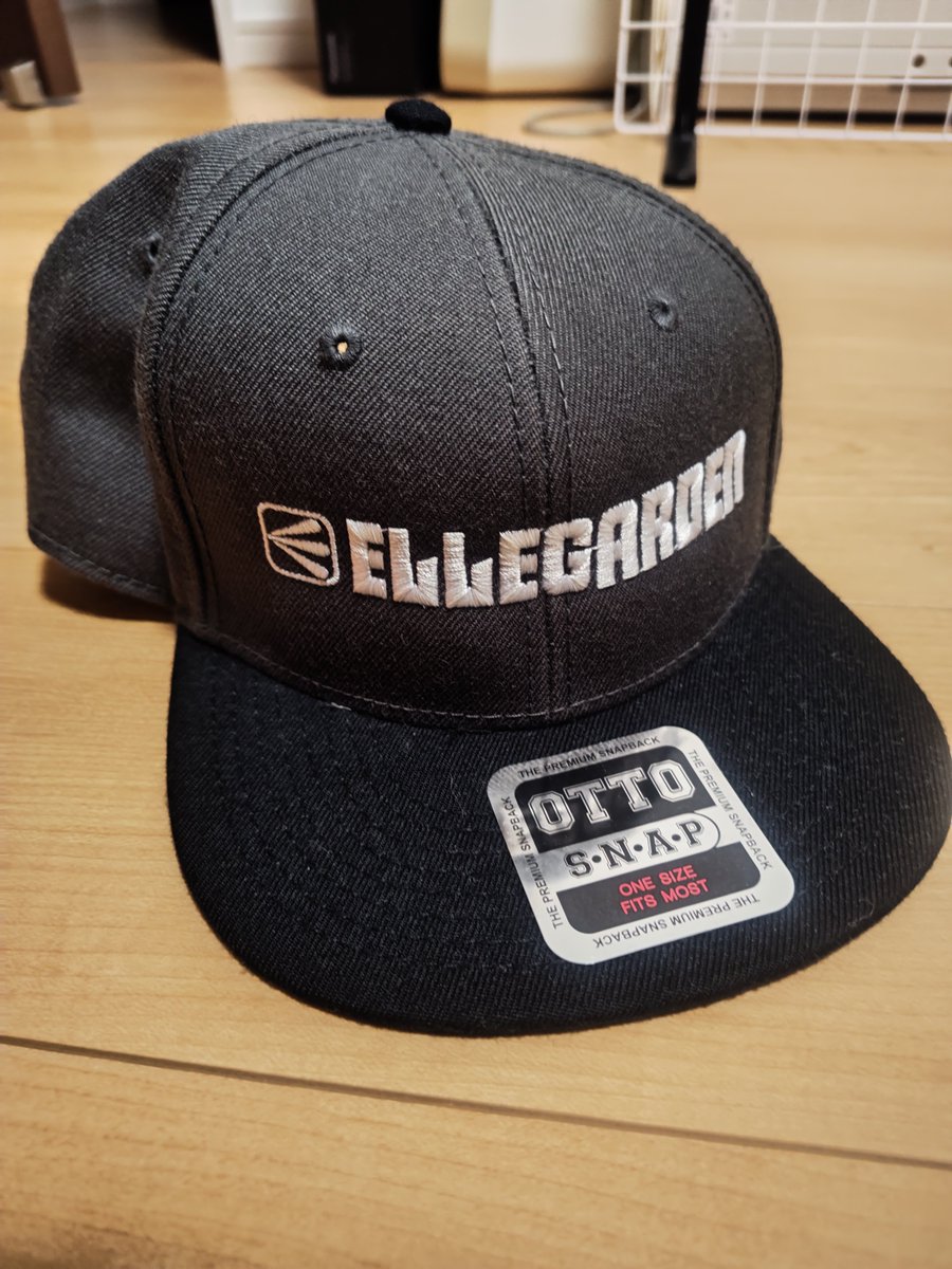 こういうノリの子、マジで好き しかもELLEGARDENのTシャツ着てるとこも