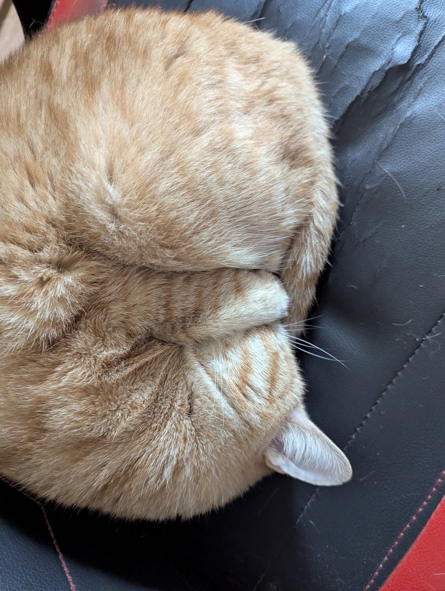 flag (@flagggot) on Twitter photo 