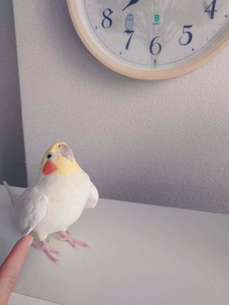 ユビニモマケズ
この写真何回みても
うける