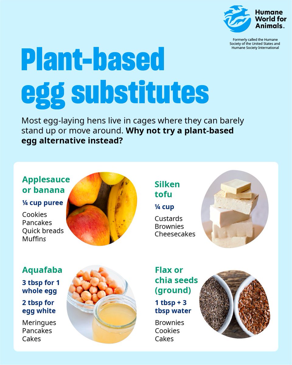 Humane World Farm Animals tweet media