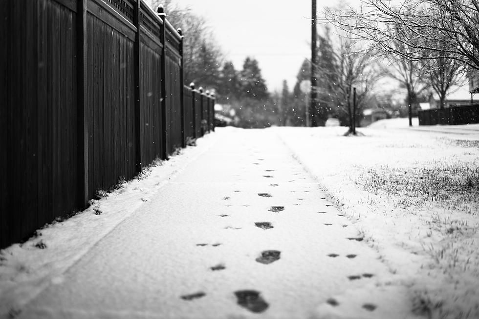 BikeArlington's tweet photo. 📣Attention @ArlingtonVA Building and Home Owners!
⚠️ The County #SnowOrdinance is in effect as of today: 
⏰Tuesday, February 3  https://t.co/A5Gz8Yd2j6
🌡️ Take advantage of warmer temperatures and clear those sidewalks.
🥾Do your part to keep everyone safe.
🚸@TRAC #VisionZero https://t.co/nWheCvPxGV