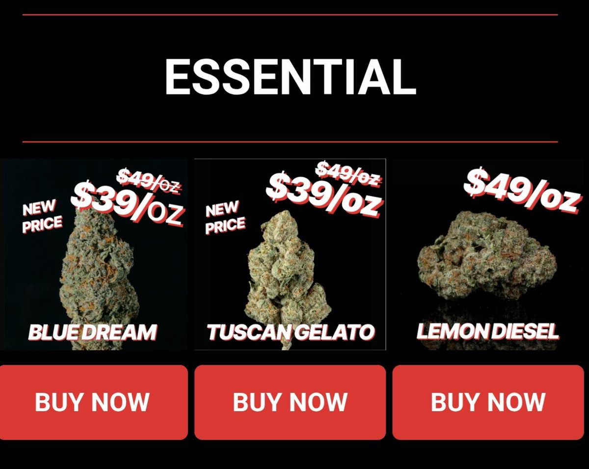 Mrrobot307's tweet photo. 🔥 ESSENTIAL STRAINS JUST DROPPED 🔥
Blue Dream 🌊 • Tuscan Gelato 🍨 • Lemon Diesel 🍋
Some $49 ➝ $39/oz 👀
If you’ve been waiting… this is it.
👉 https://t.co/SEEJjwSvj7
💸 Use code MrRobot for 10% OFF
Which one you grabbing? 👇💨
#CannabisCommunity #stonerfam #Terps #Flower