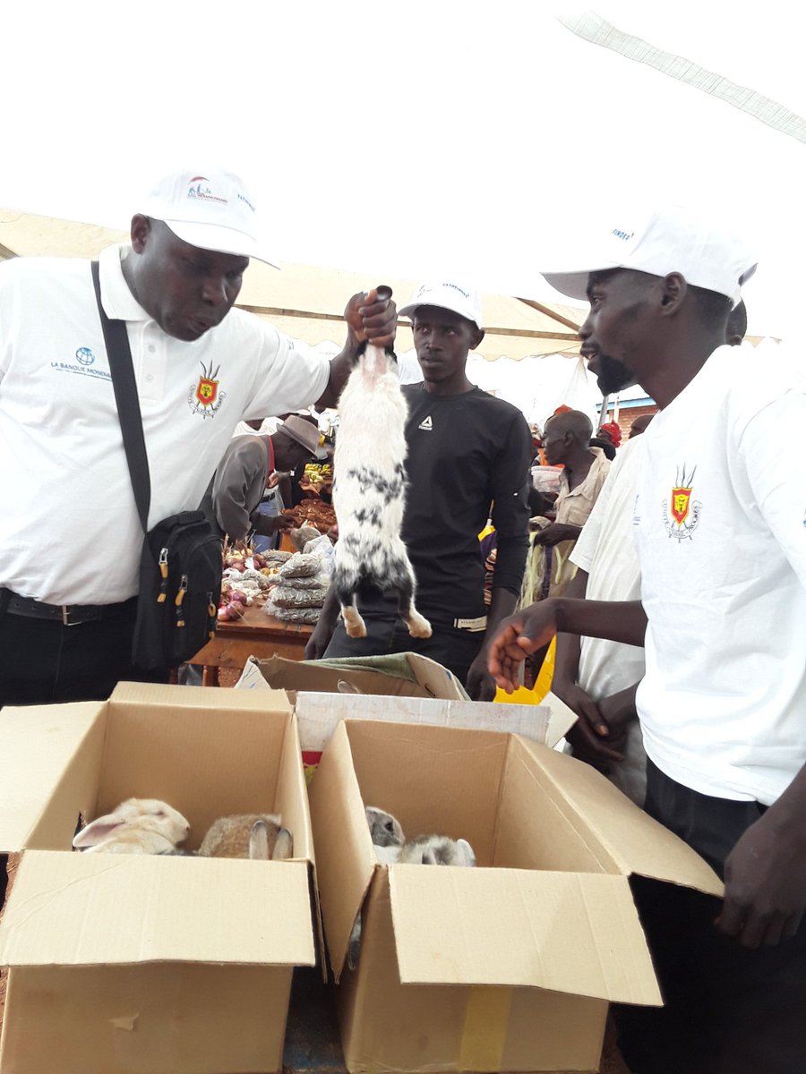 Merankabandi2's tweet photo. #Merankabandi. Deuxième #FOIRE d'expostion-vente des produits agricoles et non-agricoles des bénéficiaires du @Merankabandi2 de la zone @Vumbi en commune #Kirundo de @PButanyerera https://t.co/Cc666TJ6Nz