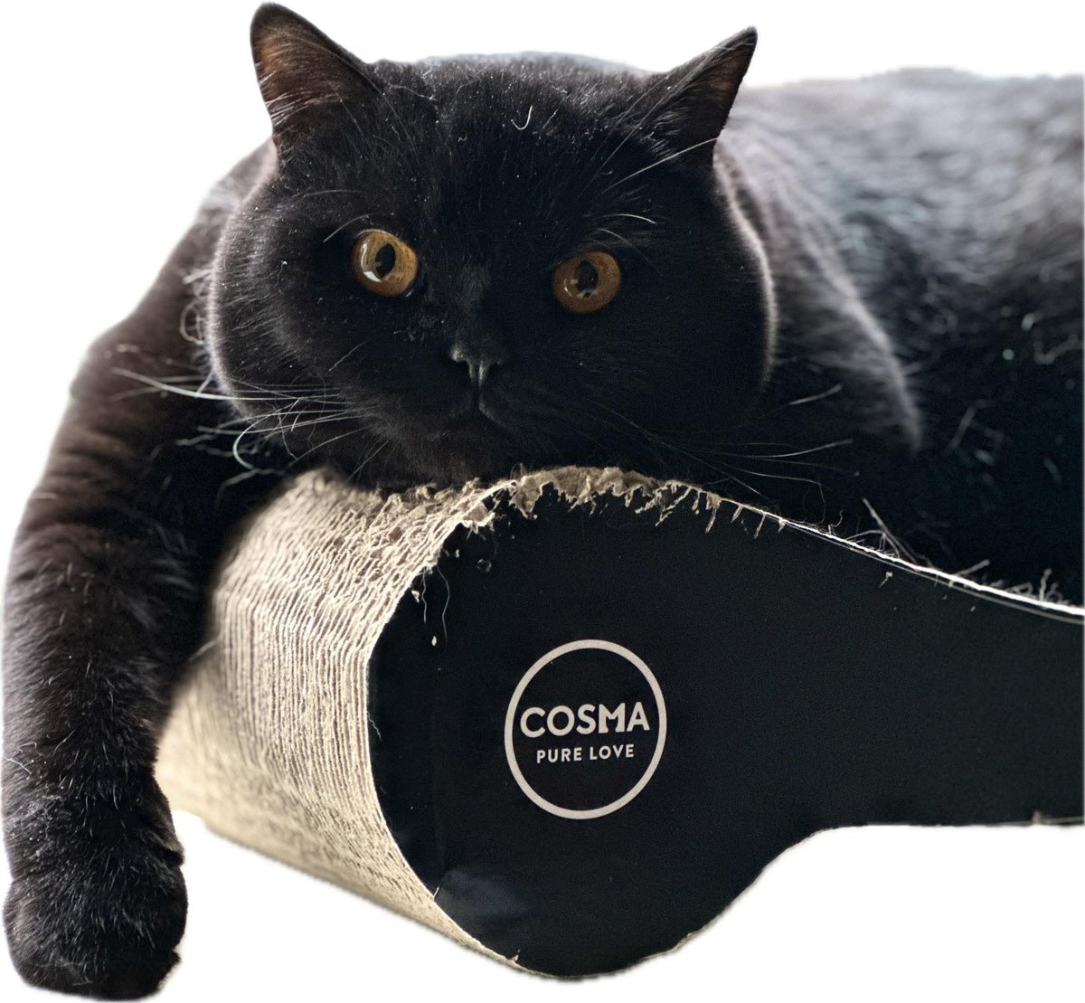 John Klein Nagelvoort tweet media