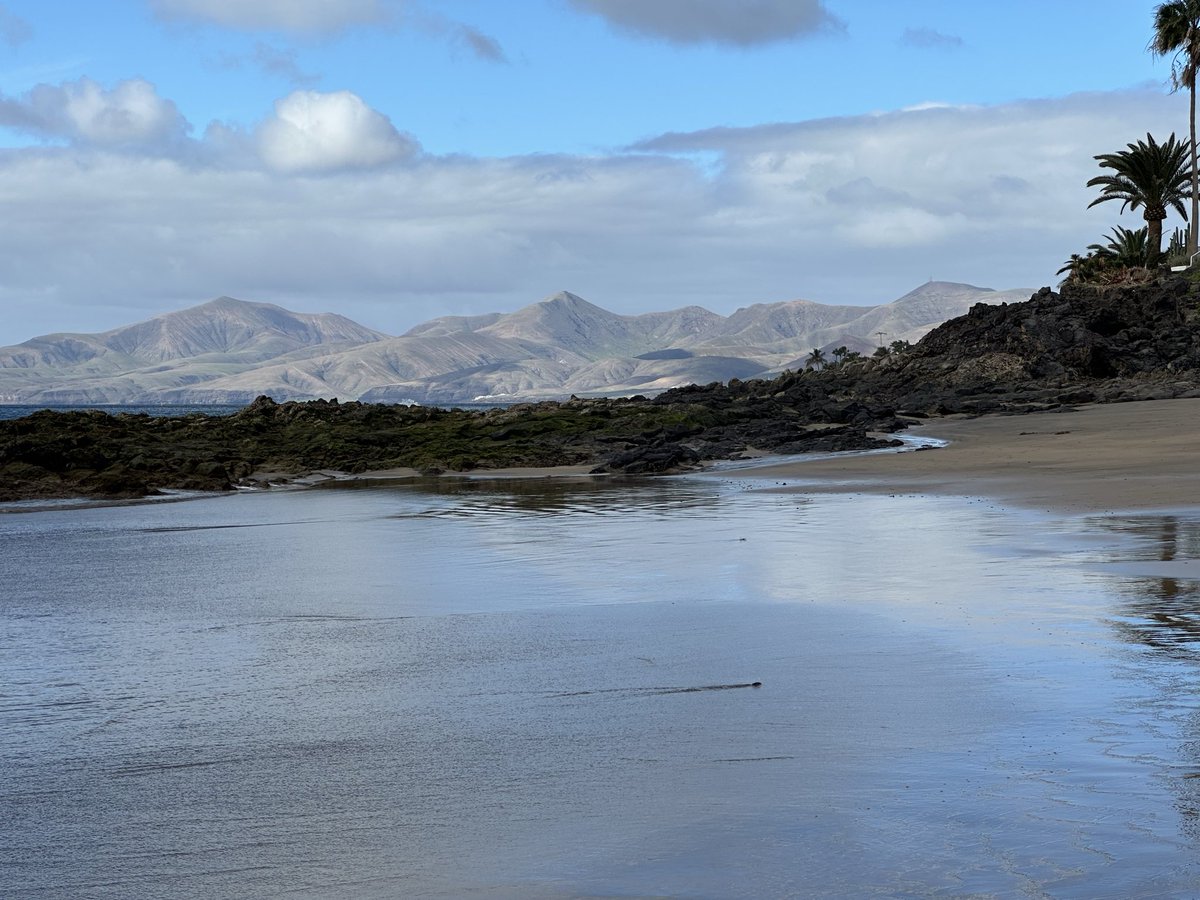 Crypto_Minerman's tweet image. GM CT legends 🔥