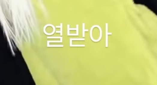 소정이가 댓글 담ㅜㅋㅋ