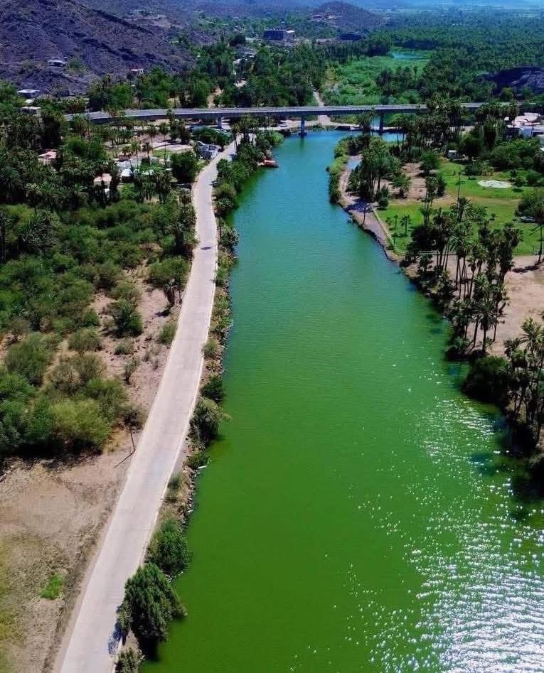 Secretaría de Turismo y Economía de BCS tweet media