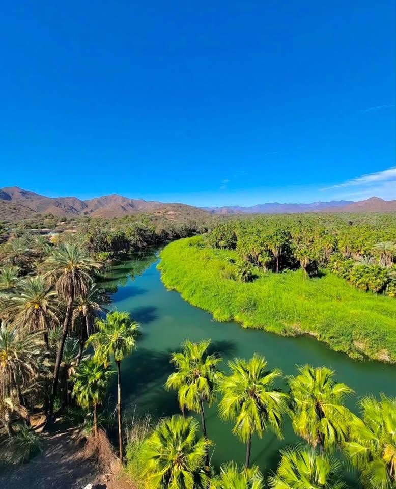 Secretaría de Turismo y Economía de BCS tweet media