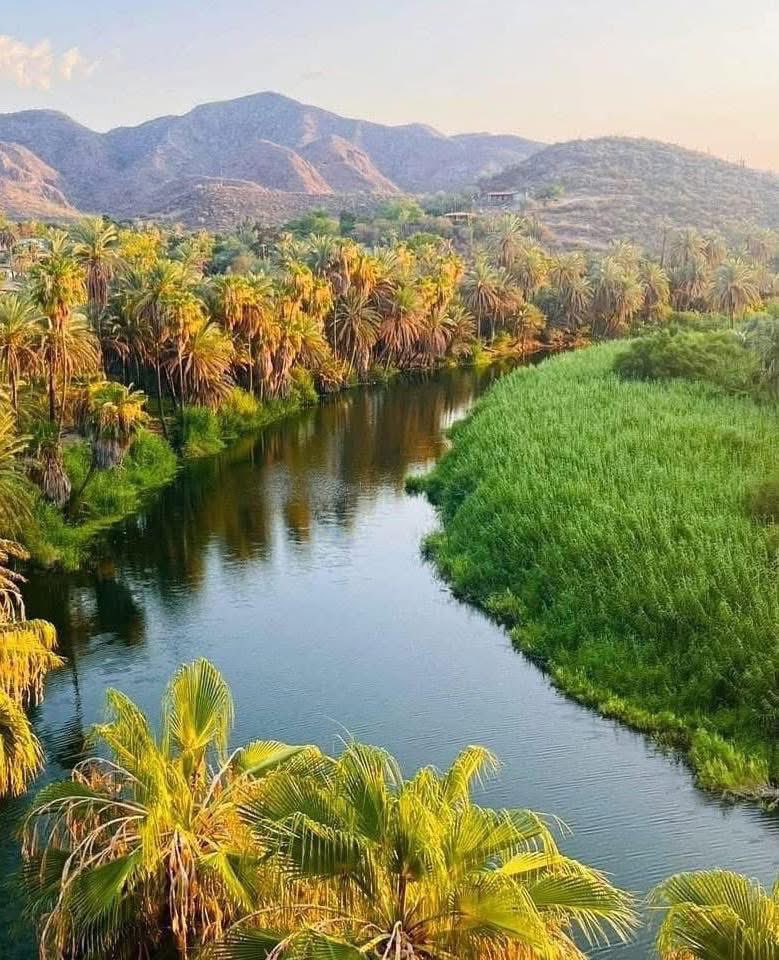 Secretaría de Turismo y Economía de BCS tweet media