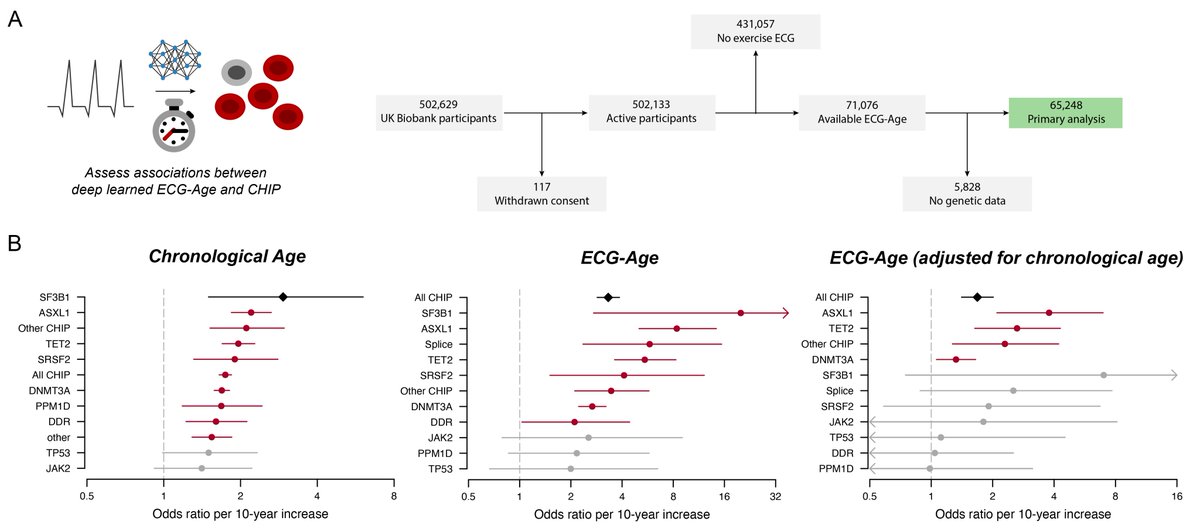 Shaan Khurshid tweet media