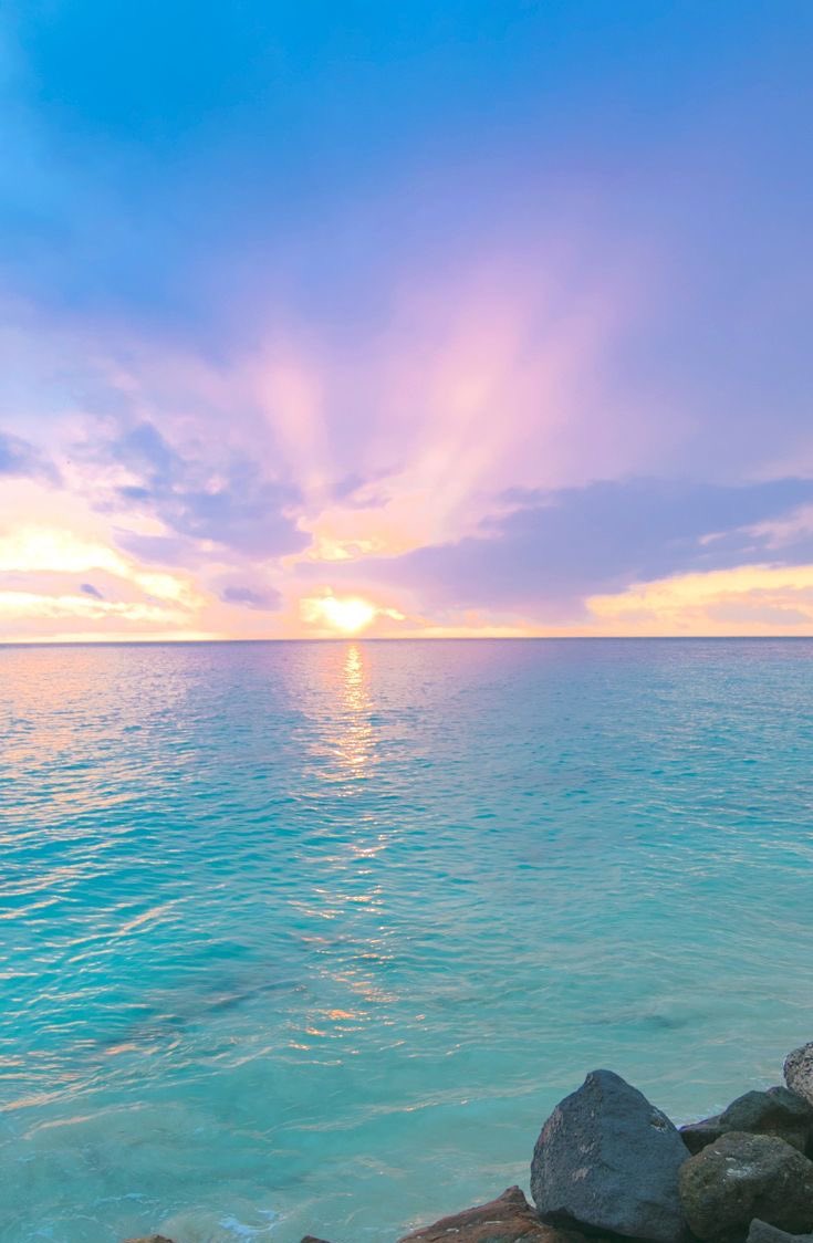 aestheticspost_'s tweet image. 