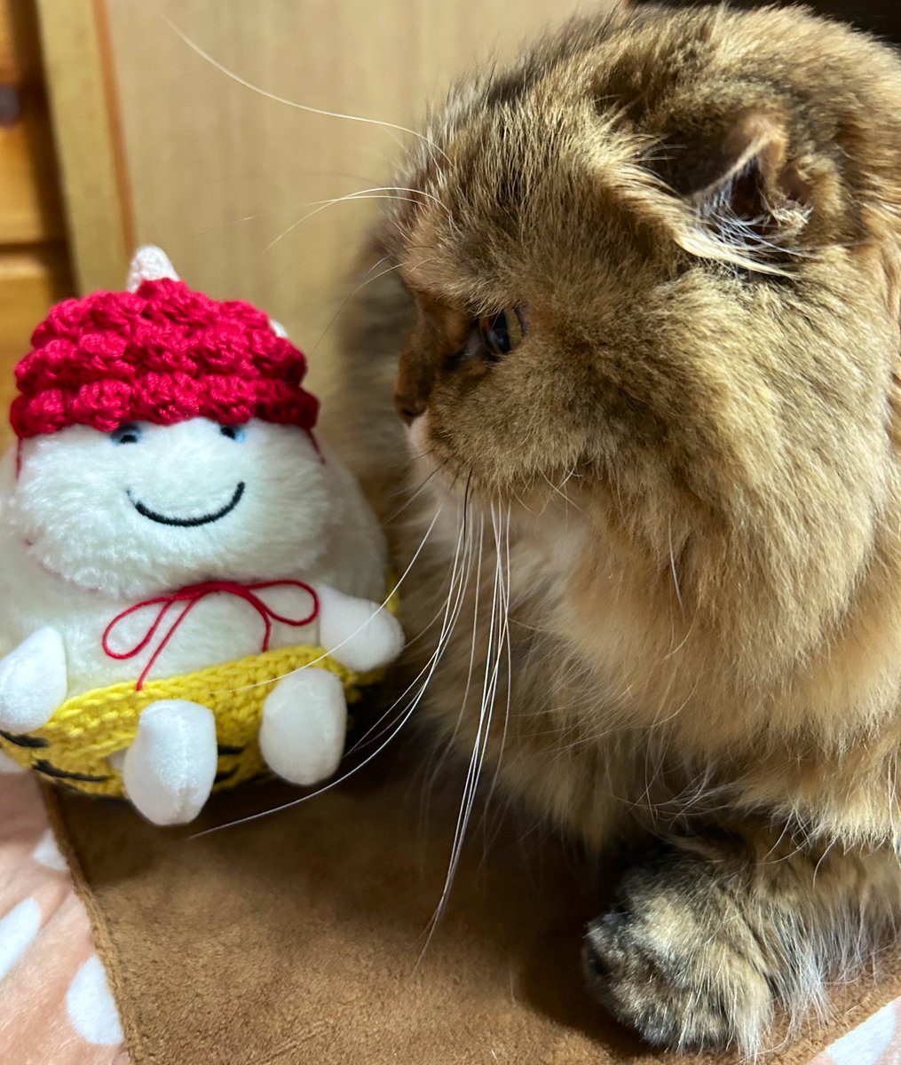 節分2026番外編 🐱 かぶってるやちゅ、しょれはにゃに？ ⛅️🌈鬼の