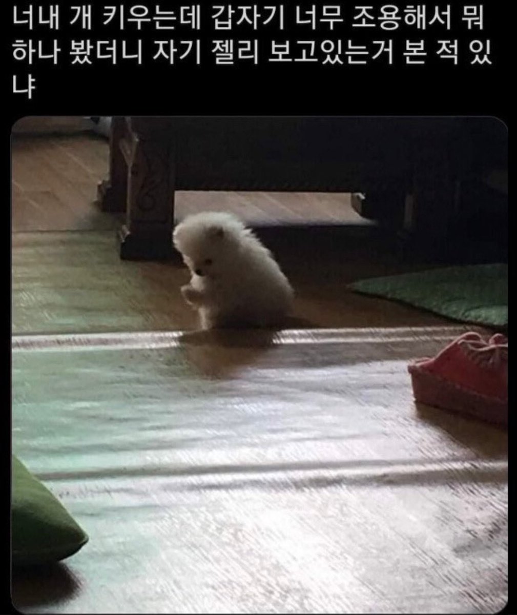 RIO_MAROO_'s tweet photo. 250517 🐶

태 

#NiziU #RIO #니쥬 #리오 #リオ 
#HappyRIODay https://t.co/3YS3dAsHUI