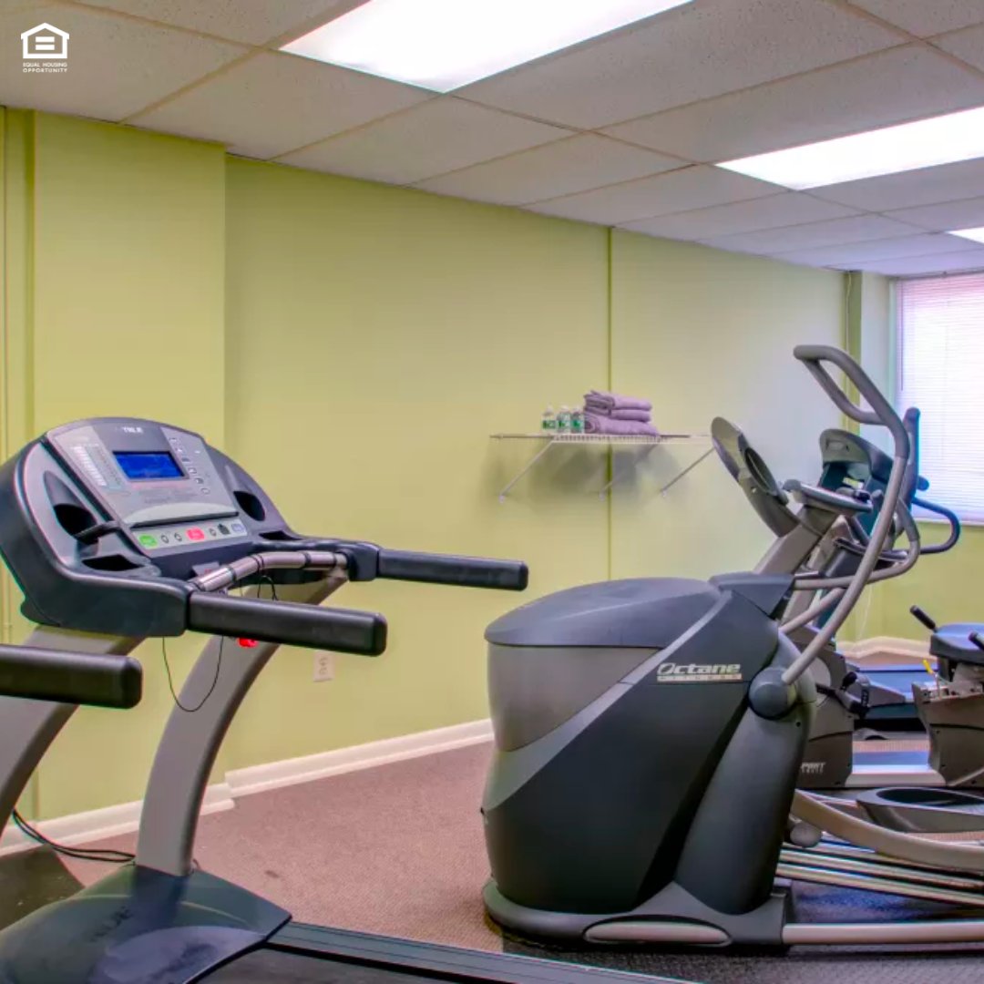 Haddonview Apartment tweet media