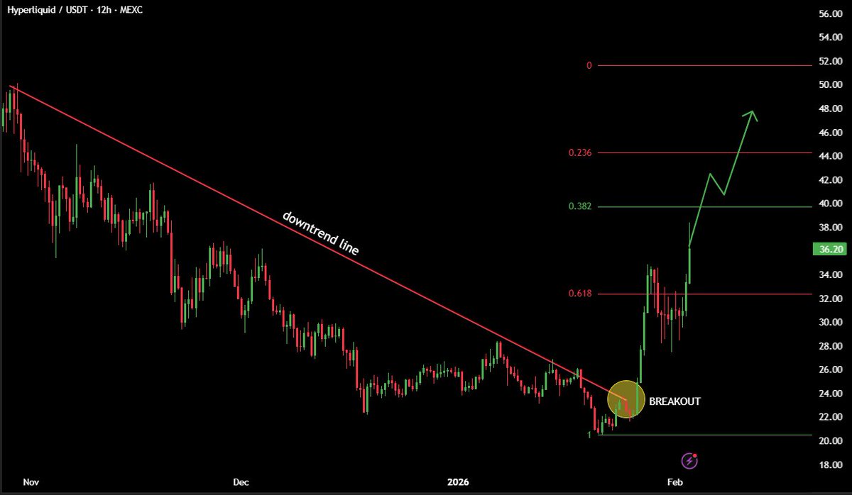 Whale Factor tweet media