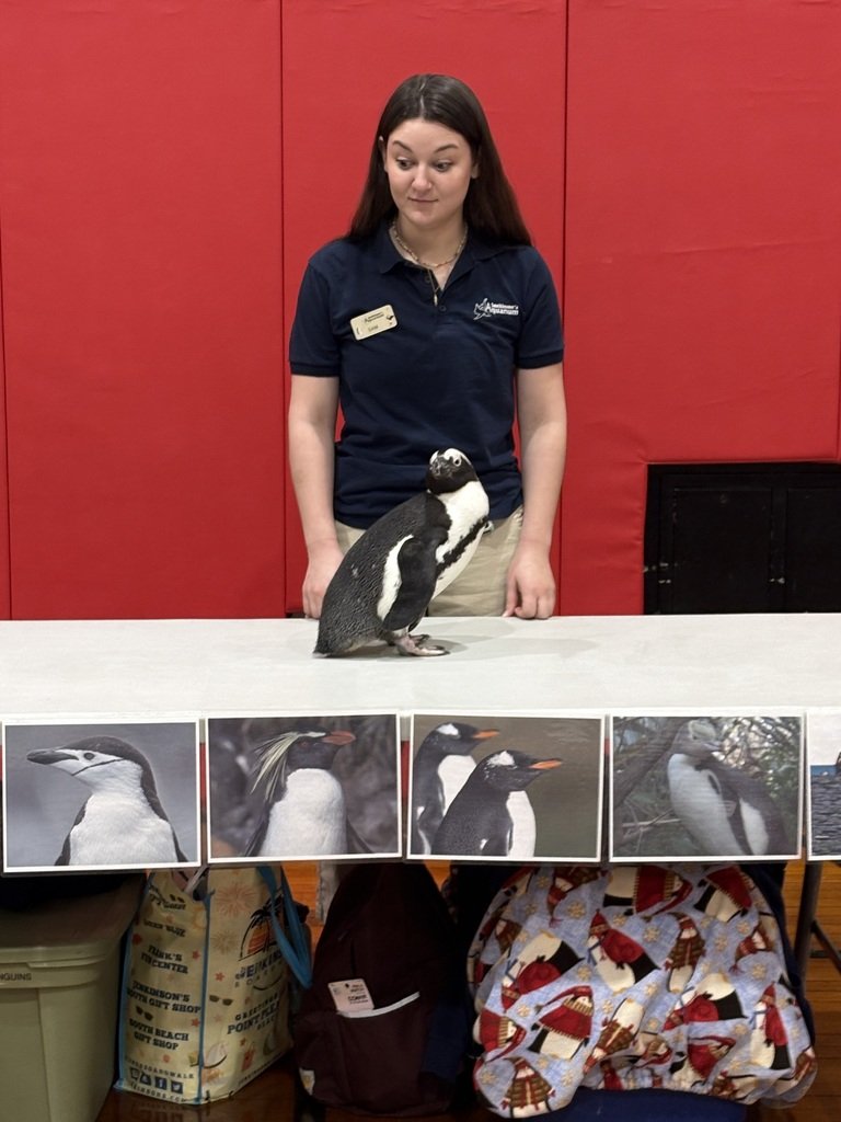 Berkeley School tweet media