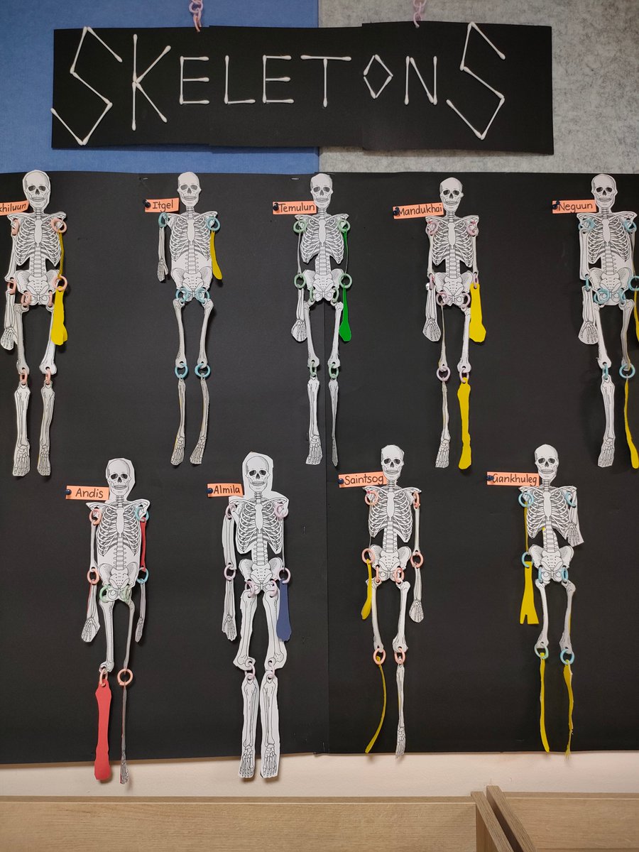 The British School of Ulaanbaatar tweet media