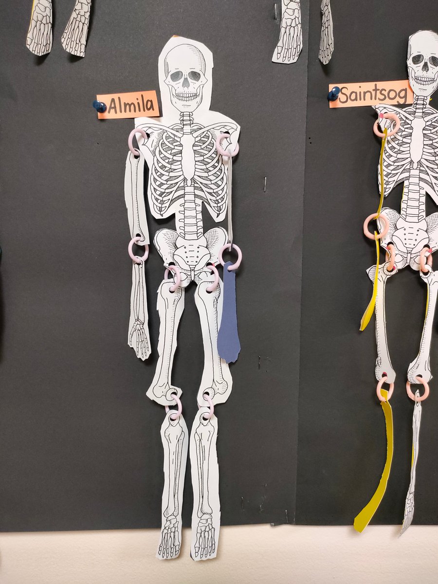 The British School of Ulaanbaatar tweet media