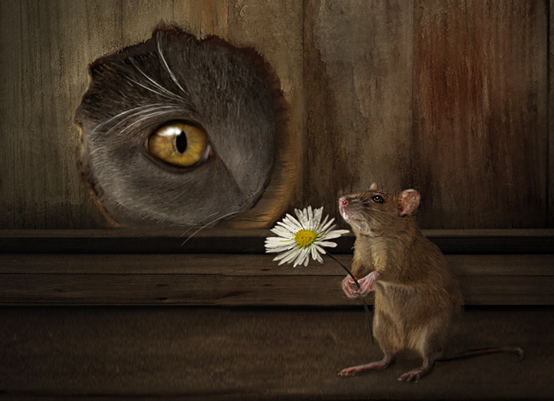 “Peace Offering” was created by TPPA Member, Rhonda Moore Strickland @rmspetphotos of Breckenridge, Texas, and appears in the January/February 2026 issue of The Photographer Magazine.

tppa.org/blog/spotlight…