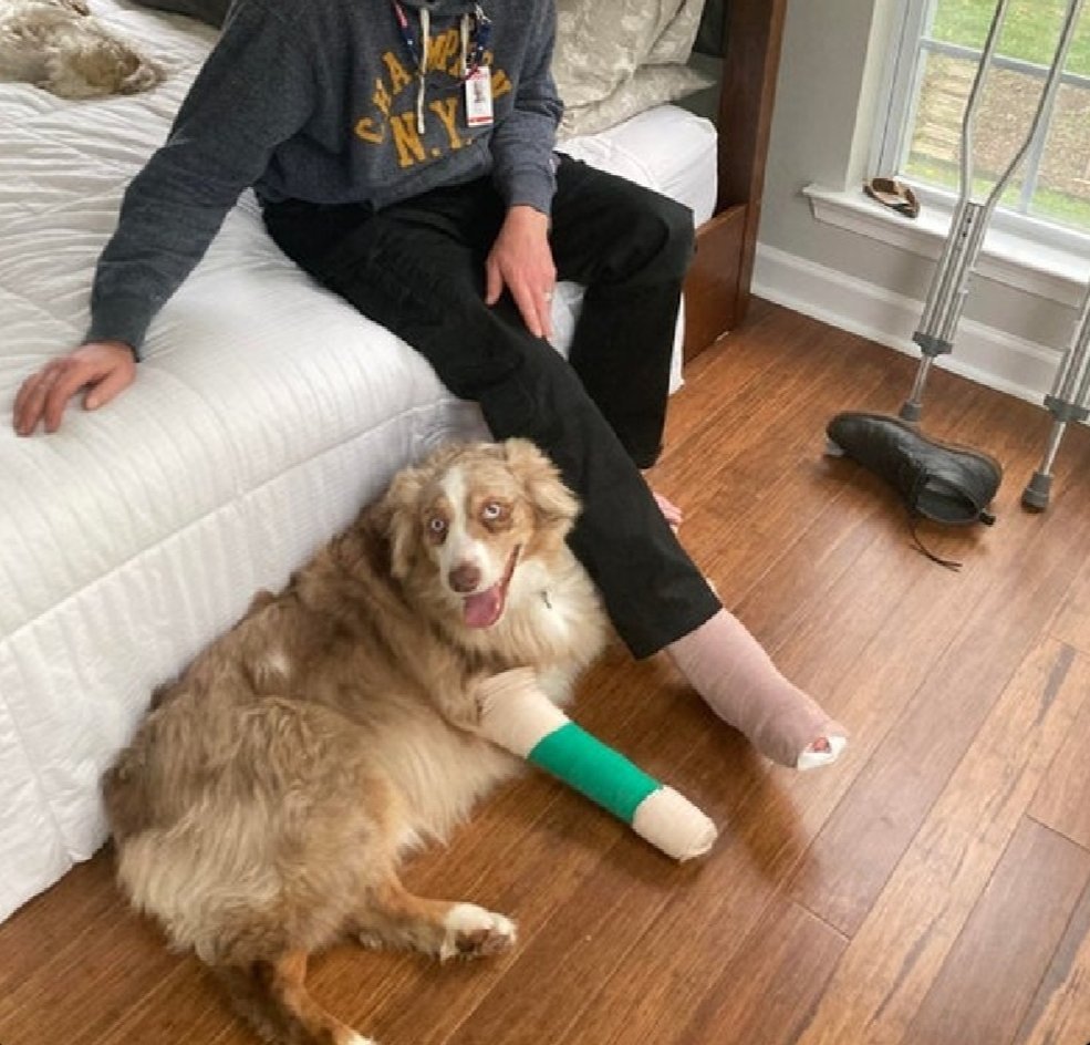TweeetsOfDogs's tweet photo. "Dog broke his ankle jumping into the boat, dad broke his ankle jumping in after him. Dog looks totally stoked to match dad" https://t.co/n8ifOBzVh2