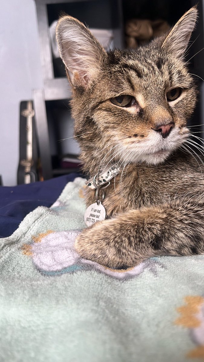 SYF | mudkyp tweet media