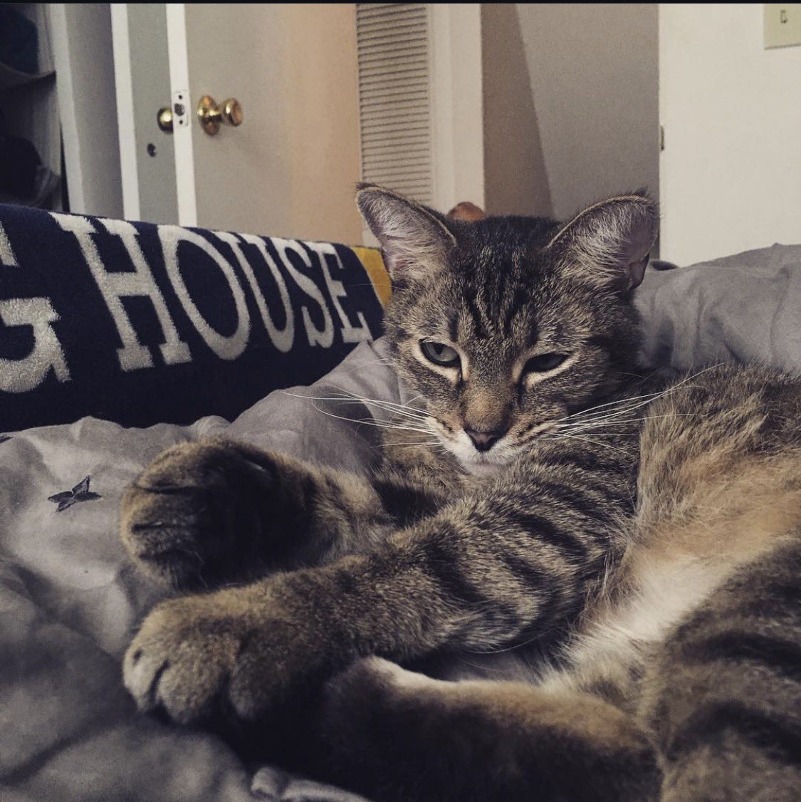 SYF | mudkyp tweet media