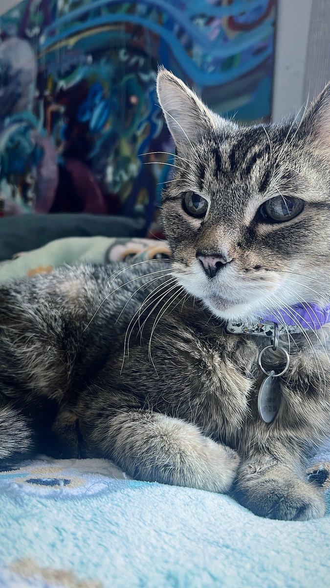 SYF | mudkyp tweet media