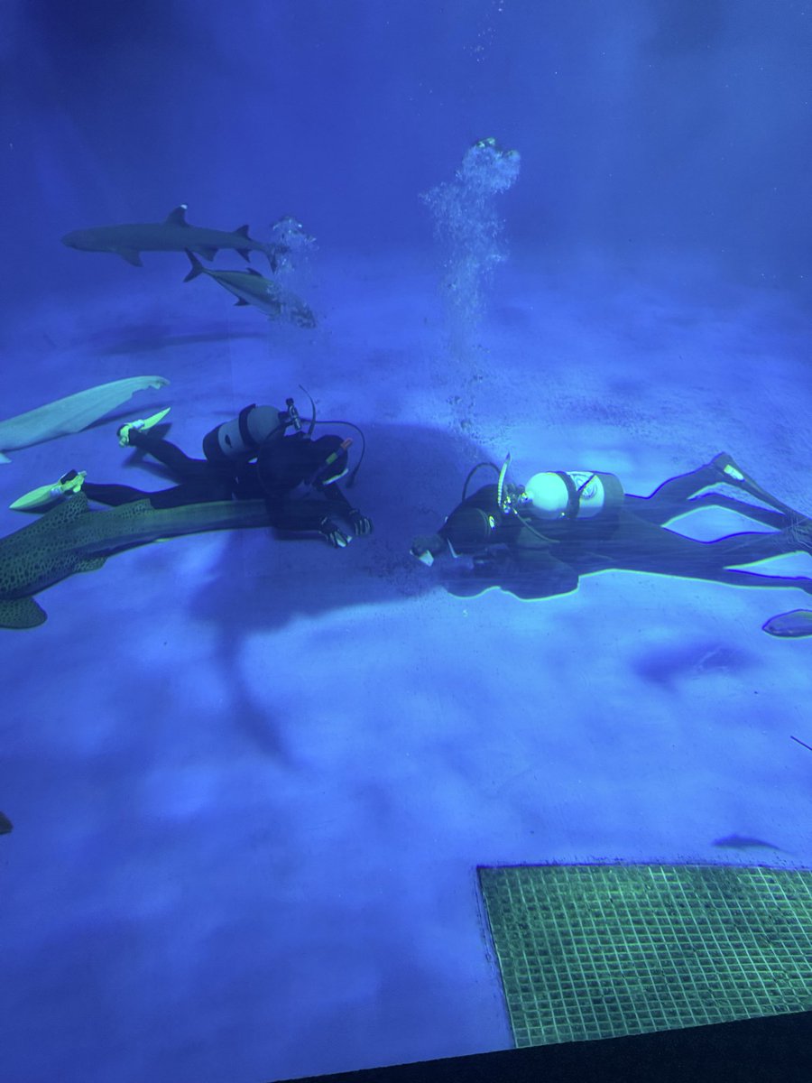 pesoemon's tweet photo. 水族館で「え？なにあれ？！」って見たらヒトだったあるある。
#水族館
#床のお掃除
#神戸須磨シーワールド https://t.co/aF570gvOTs