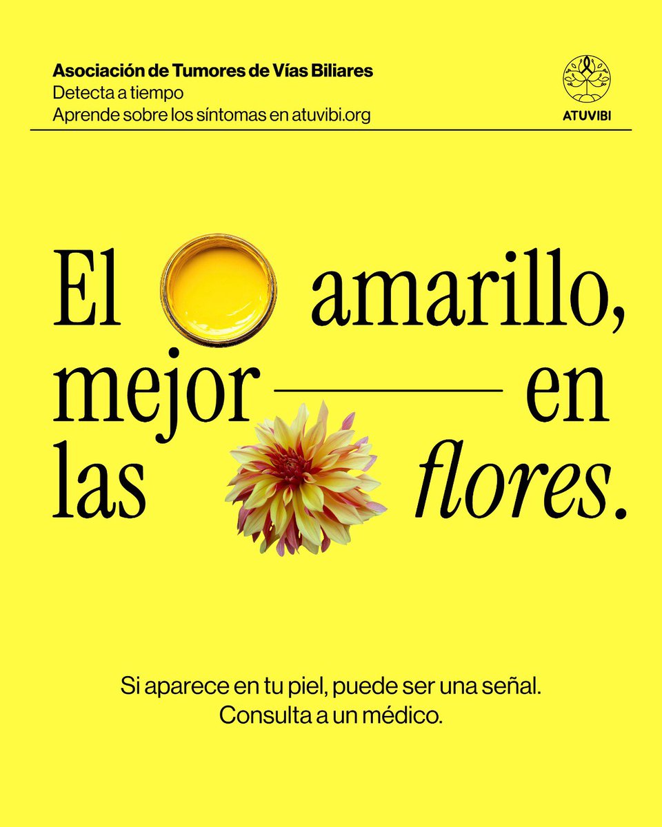 atuvibi's tweet photo. ✨ “¿ColangioQUÉ?”: entenderlo es el primer paso para cambiarlo.✨

📣 Este febrero, coincidiendo con el Mes de Concienciación sobre el Colangiocarcinoma, desde ATUVIBI lanzamos la campaña “¿ColangioQUÉ?” para poner nombre, rostro y contexto a una enfermedad que, a día de hoy, sigue siendo desconocida para gran parte de la población.

📌 Porque cuando una enfermedad es poco frecuente, el desconocimiento se convierte en una barrera más.

💬 “¿Colangio… qué?” es uno de los primeros pensamientos al recibir un diagnóstico de una enfermedad desconocida (y que es incluso difícil de pronunciar). Y justamente ahí está la clave: convertir esa reacción en una oportunidad para:

👉 Informar.
👉 Generar conciencia.
👉 Abrir conversación.

A través de gráficas claras, mensajes cercanos y un tono humano con un sutil toque de humor, “¿ColangioQUÉ?” presenta el colangiocarcinoma desde lo esencial:

🔎 Síntomas.
⏳ Importancia de reconocerlo a tiempo.
💥 Impacto en la vida de las personas afectadas.
🔬 El papel clave de la investigación.

Porque la información no solo explica: también acompaña, empodera y activa el compromiso con la investigación y el apoyo a quienes conviven con esta enfermedad.

📥 Desde nuestra página web puedes descargarte todas las creatividades de “¿ColangioQUÉ?” y sumarte a su difusión durante todo el mes de febrero. Importante siempre con el crédito: Campaña creada por Lidia Huerta y diseñada por Pilar Cuadrat.

🔗 https://t.co/fhhjeb0nV9

Compartir información y conocimiento es la mejor forma de prevenir y concienciar. 💪💚

#ColangioQUÉ #Colangiocarcinoma #TumoresDeVíasBiliares #MesdeConcienciación #ATUVIBI #Confía