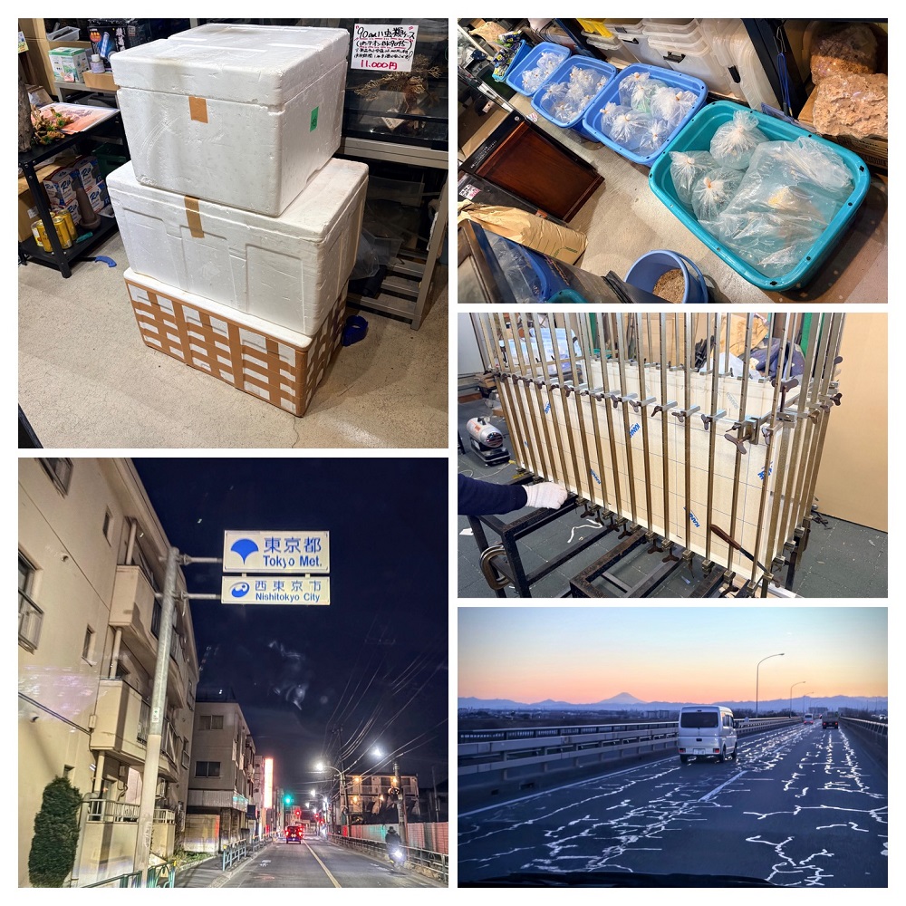 ただいま火曜日恒例の東京方面仕入れ旅から戻って参りました♪ 今回の