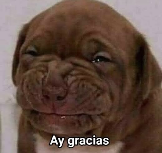 Alan Lozano (@elvishnud13) on Twitter photo 